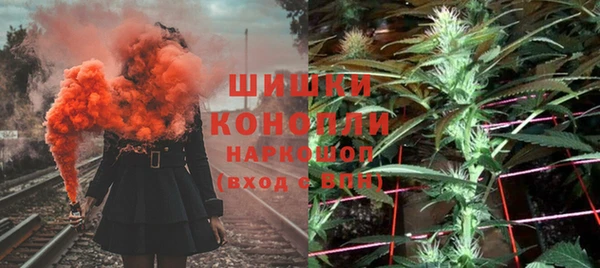 PSILOCYBIN Осташков