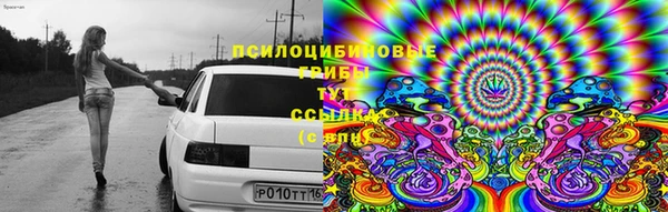амф Осинники