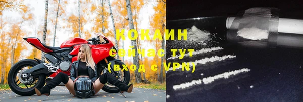 PSILOCYBIN Осташков