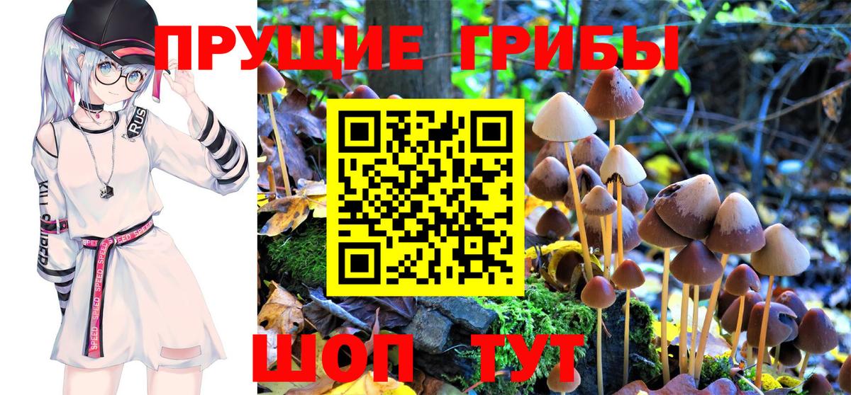 Псилоцибиновые грибы ЛСД  Апрелевка 