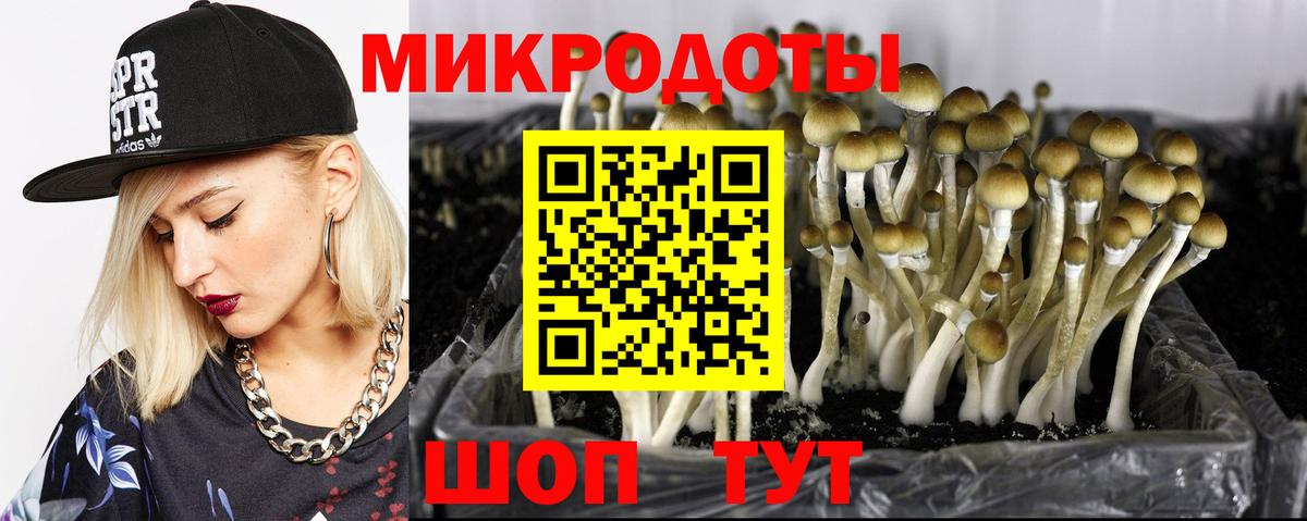 Псилоцибиновые грибы ЛСД  Вход с VPN  Апрелевка 